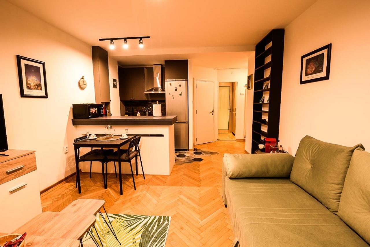 Apartment Petra 073 Belgrád Kültér fotó