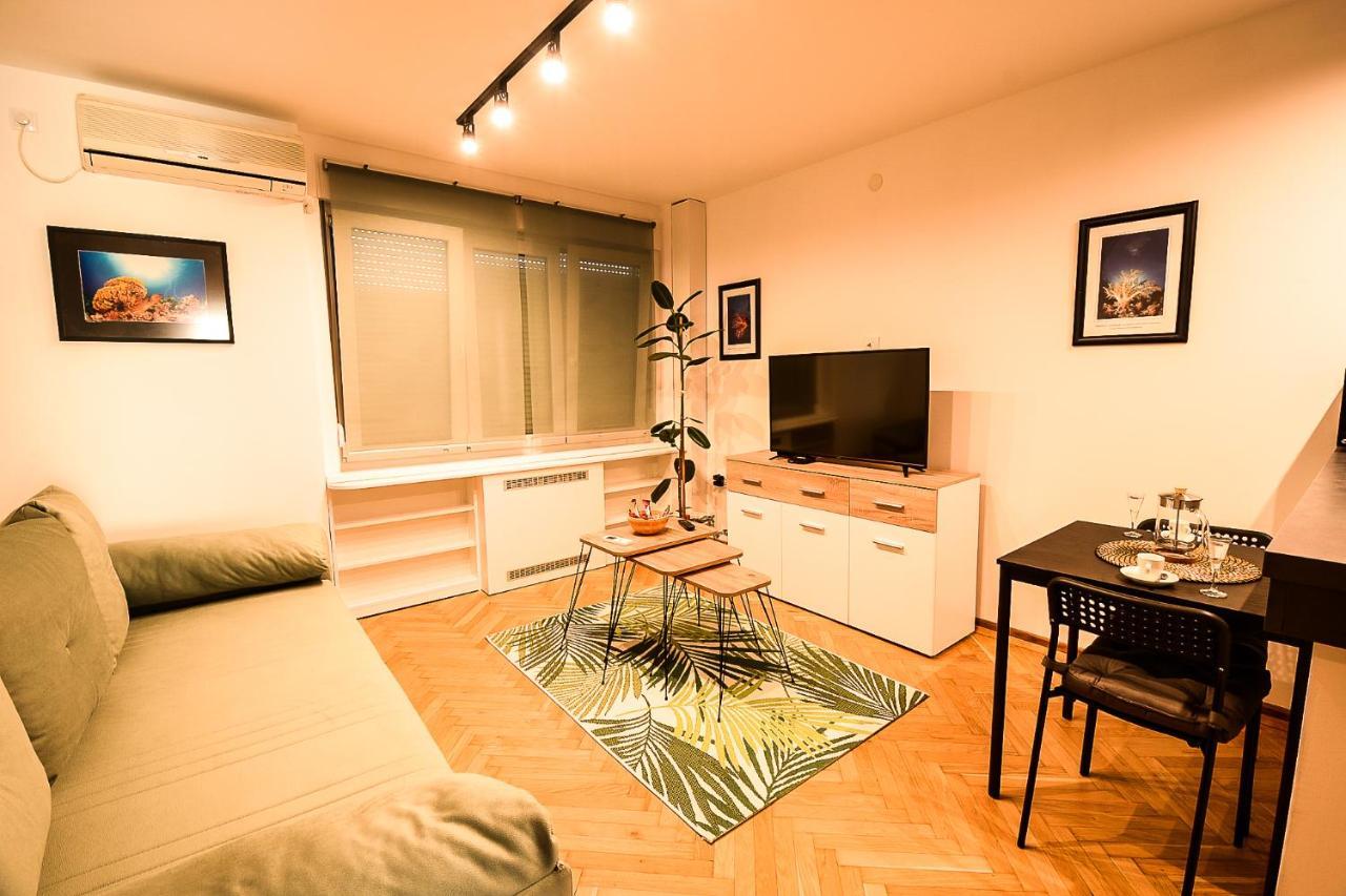Apartment Petra 073 Belgrád Kültér fotó